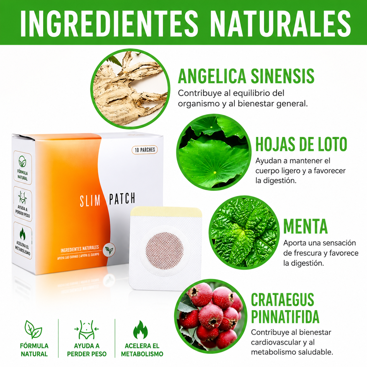Slim Patch™ - Parches Adelgazantes Magnéticos - 30 uds
